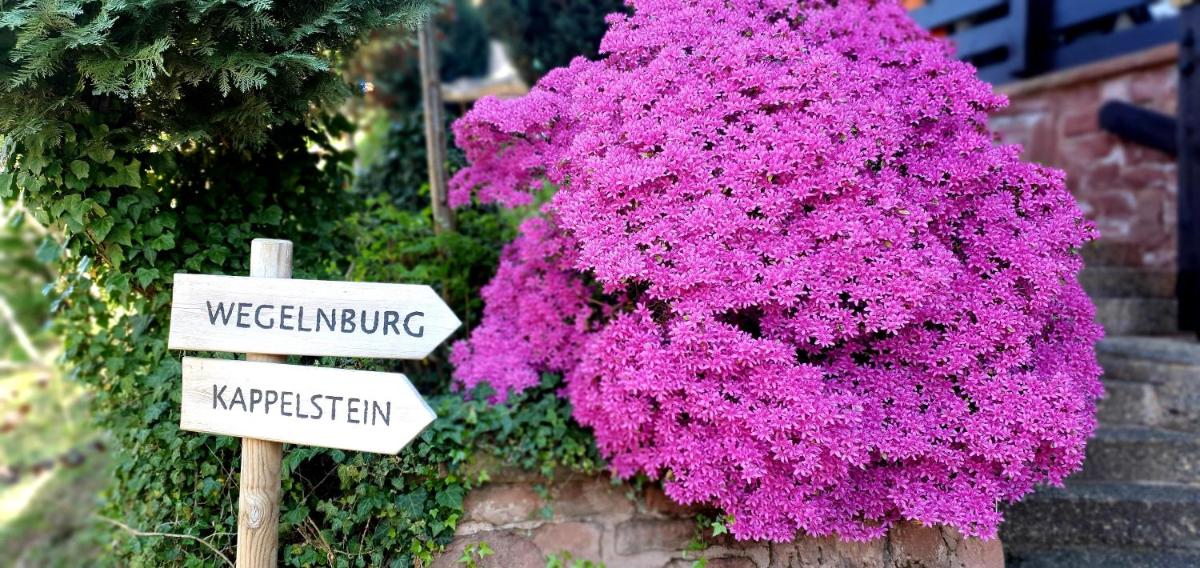 Ferienwohnung Mäuerle bis 8 Erw. Pfälzer Wald, Südwestpfalz - Housity