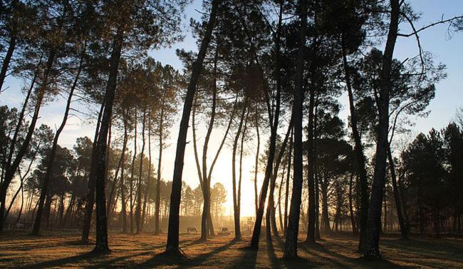 LE GRAND CELTIS - Housity