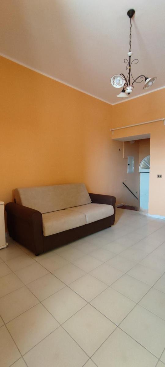Mandevilla Home - Hizvo
