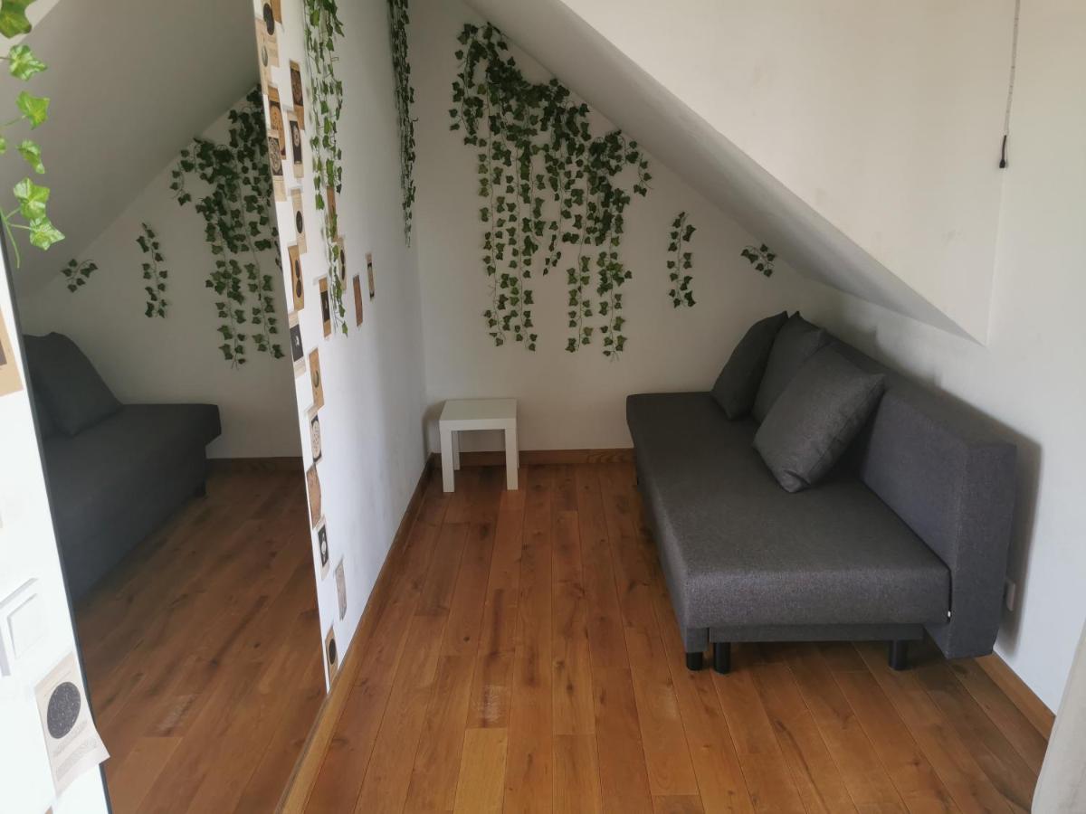 9 min from Palanga! luxury house on the river and sauna - Housity
