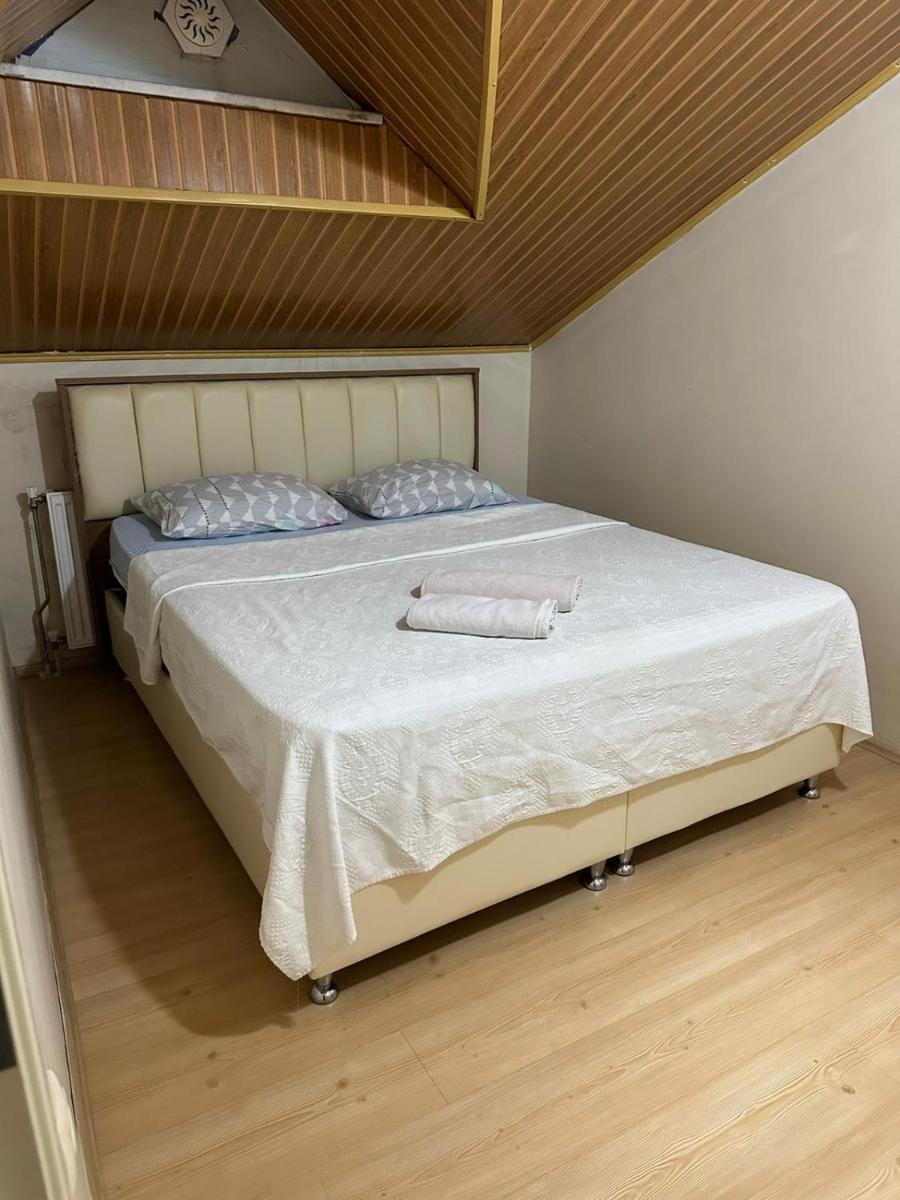 marin house - Housity