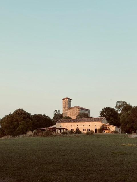Maison Drôles d'Oiseaux - Housity