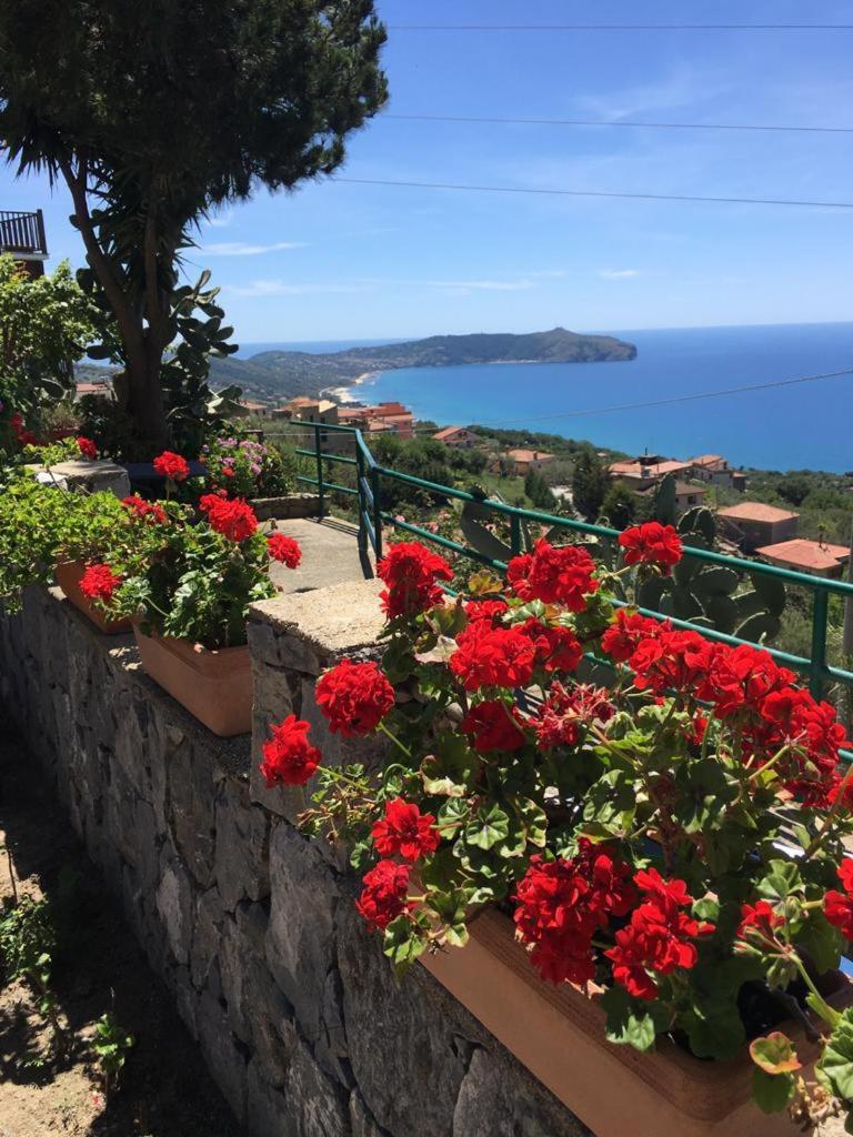 Villa Incanto B&B - Housity