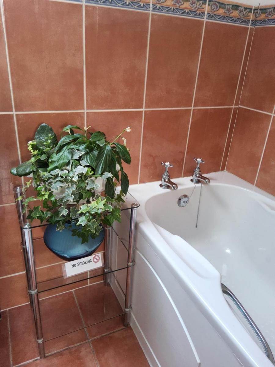 Divine Cottage - Housity