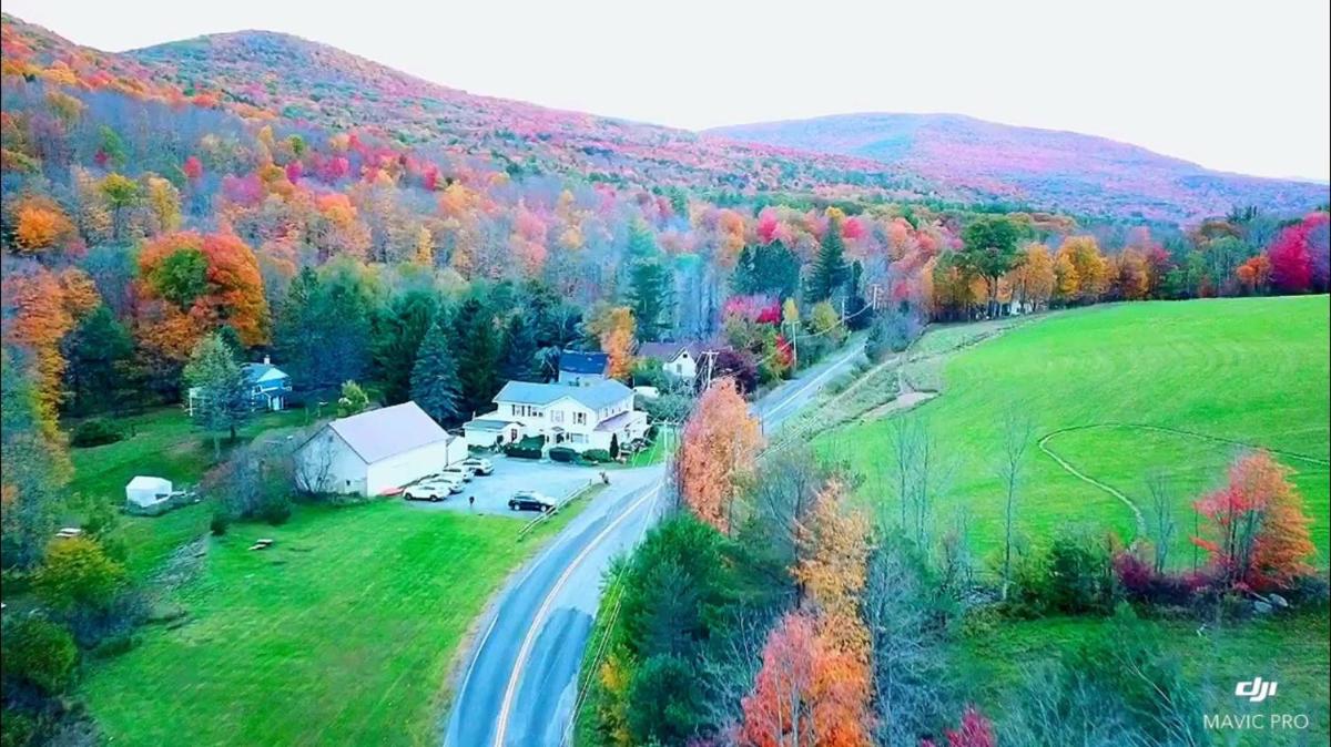 Mountain Treasure Bed and Breakfast - Housity