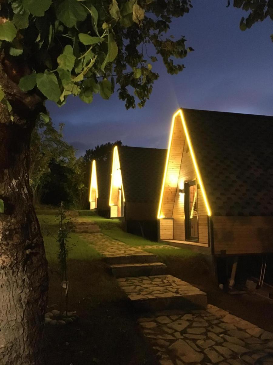 Suitetrails - Queen City Hotel & Bungalov
