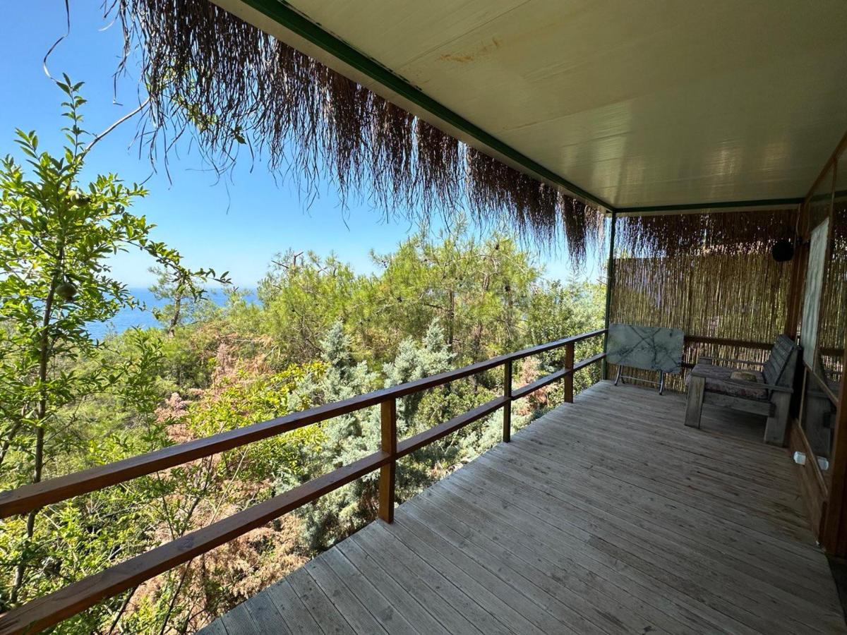 Honey Hill Faralya Forest Cabins by the Sea - Housity