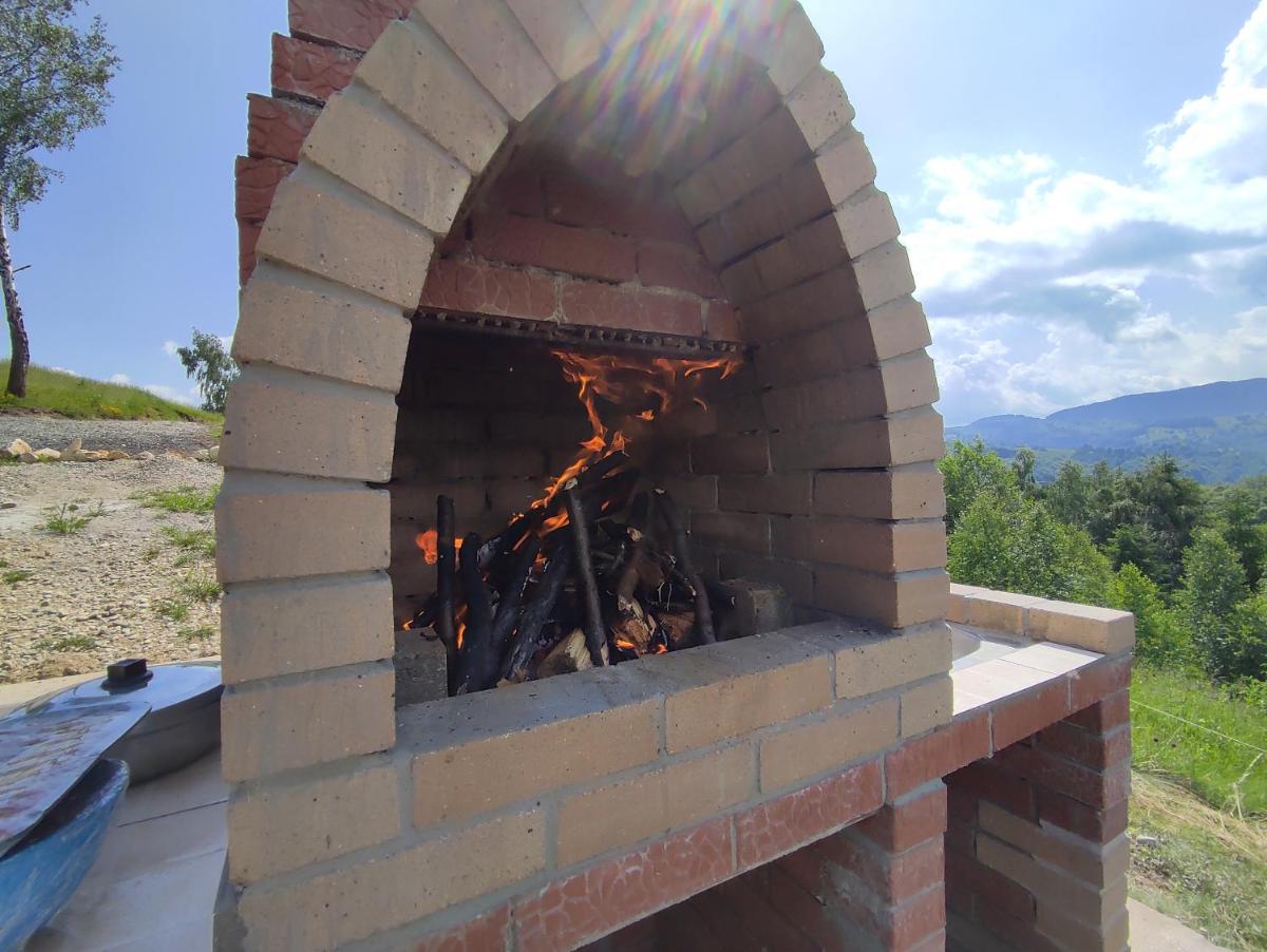 Cabana doi mesteceni - Housity