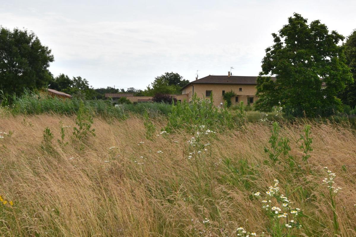 L'Oiseau Blanc - Housity