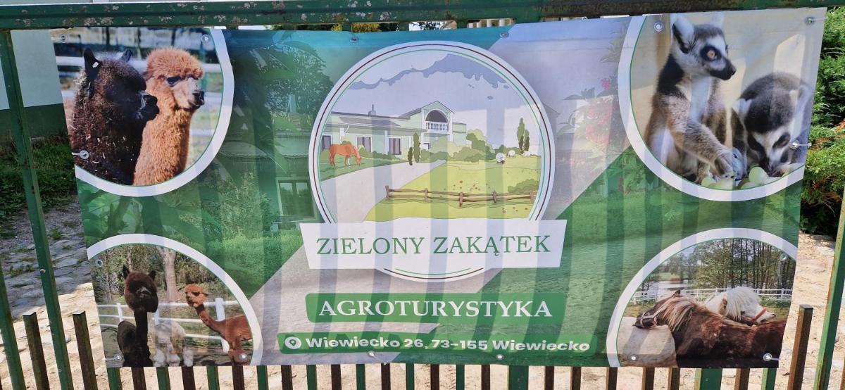 Agroturystyka Zielony Zakątek w Wiewiecku - Housity