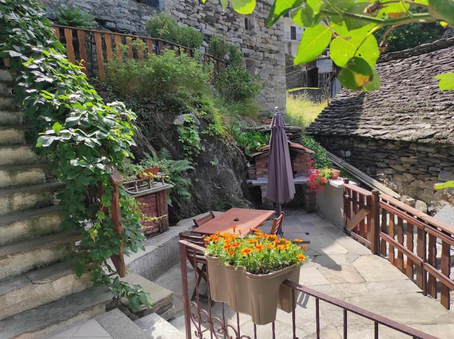 CASA DEL CIOS calda e intima casetta immersa nel verde delle montagne - Housity