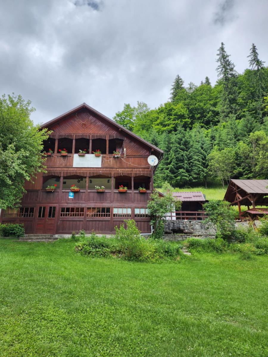 Pensiunea Susman - Housity