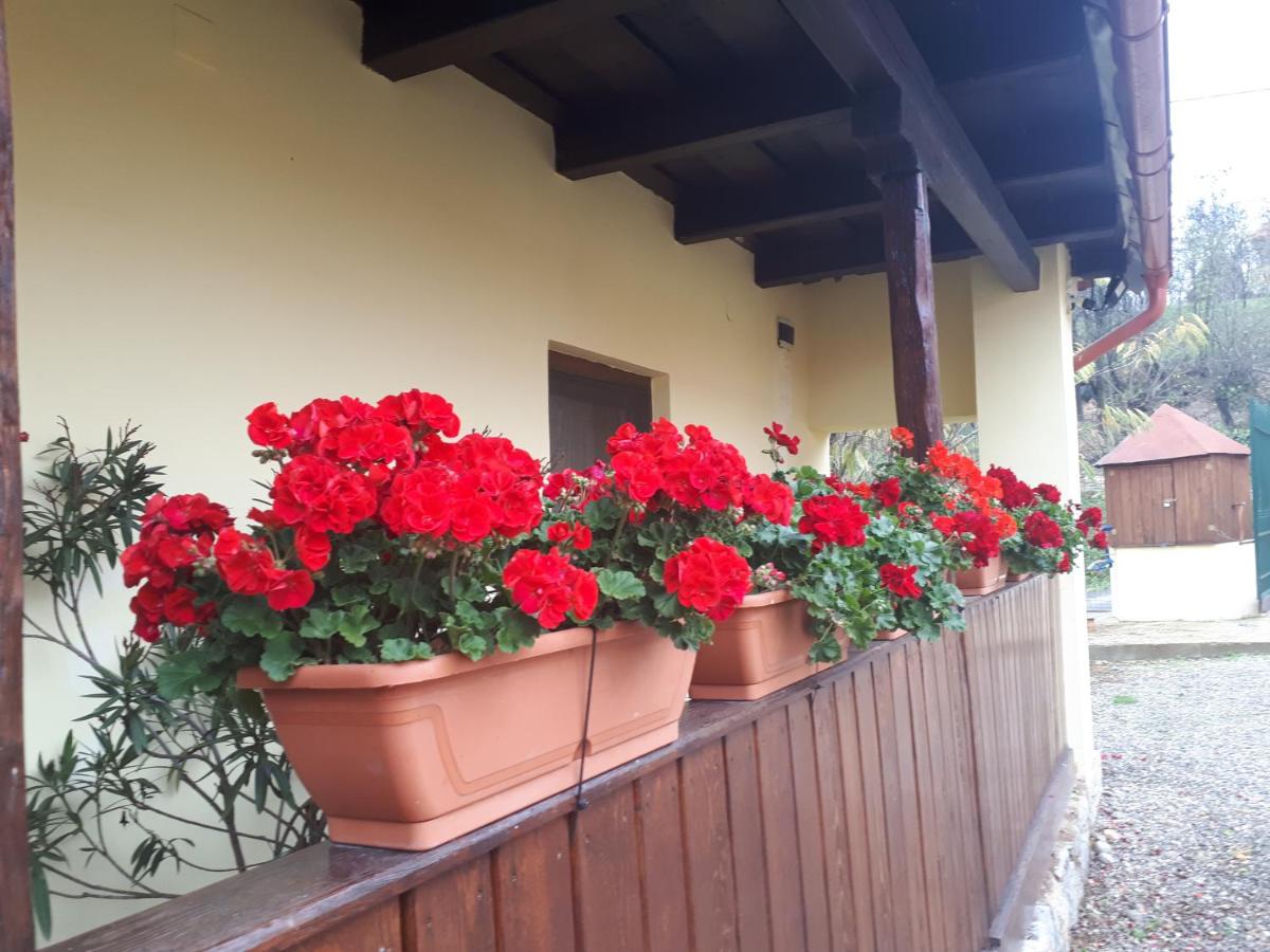 Casa Ciobanca - Housity