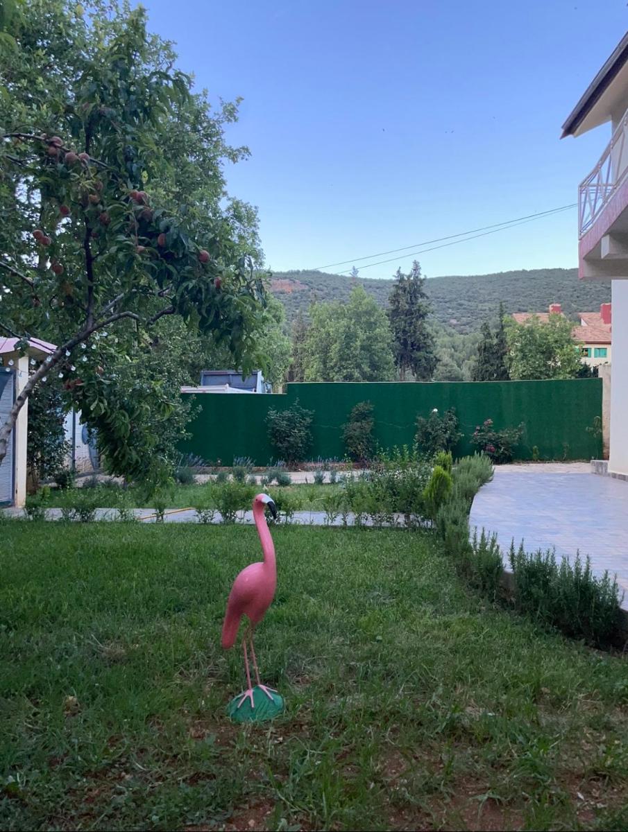 Villa ain soltan - Housity