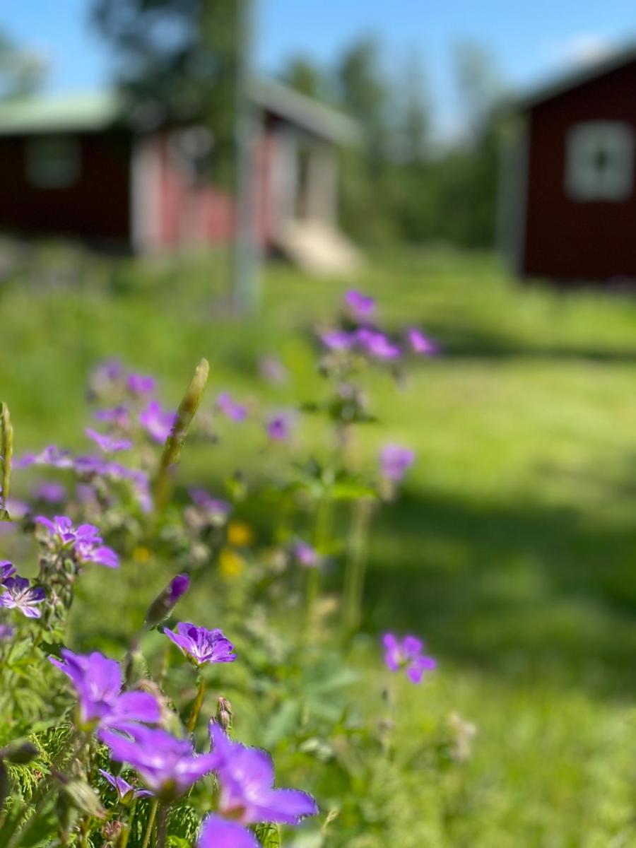 Tänndalens Stugby - Housity