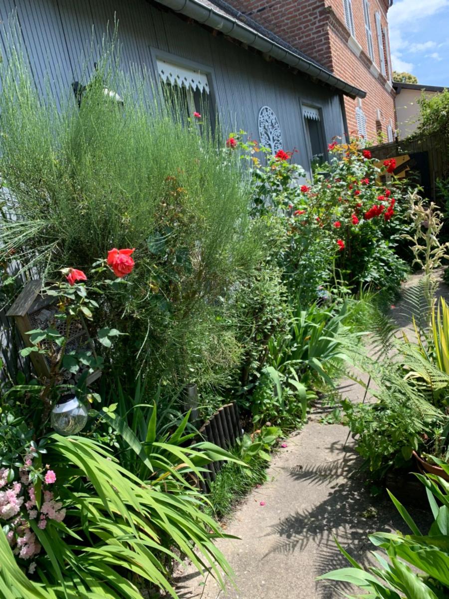 Dom’s Garden - Housity