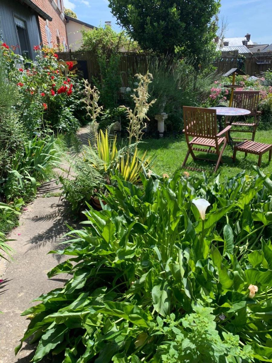 Dom’s Garden - Housity