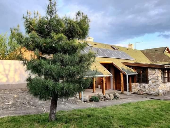BényeLak - Zöldorom kutya - és bababarát vendégház - Housity