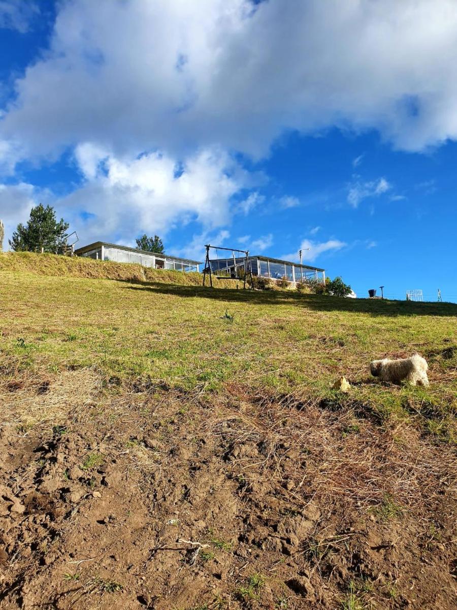 Villa san alfonso - Housity