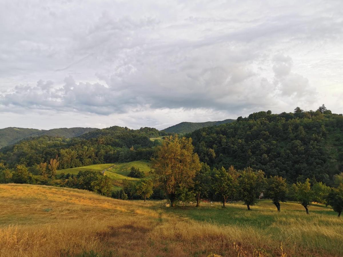 Luci nel Bosco - Housity