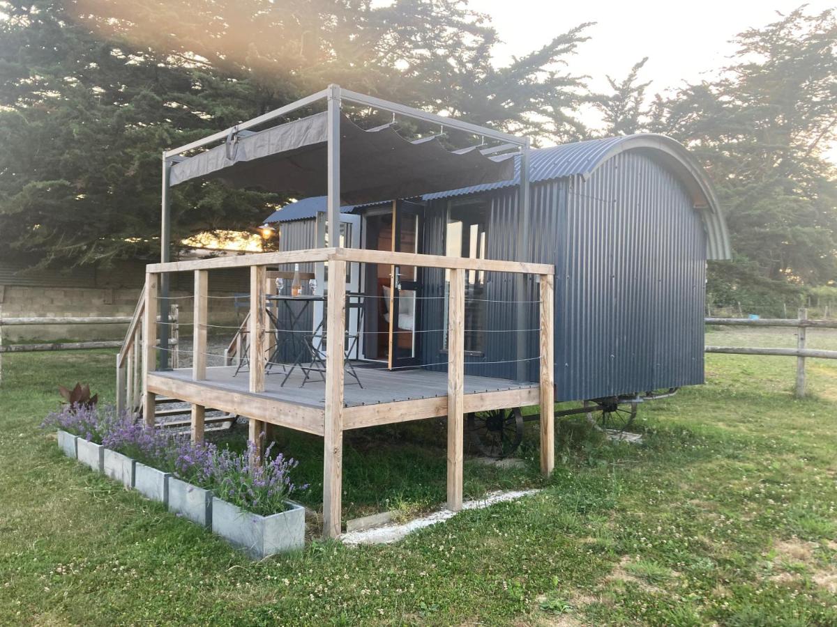 Petit Bijou - Housity