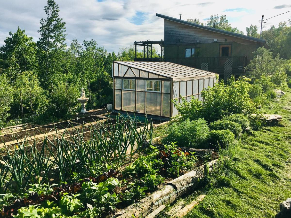Unique Eco-studio at Maïa Gardens - Housity