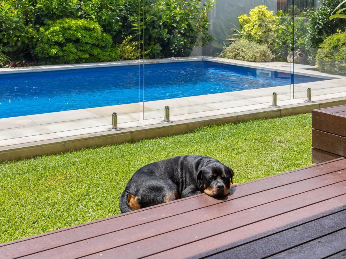 The Doggy Beach House at Pottsville - Housity