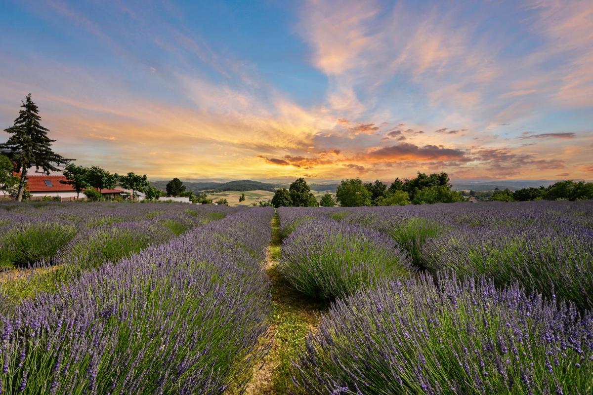 Vacation Home - NEST Kalnik - Housity