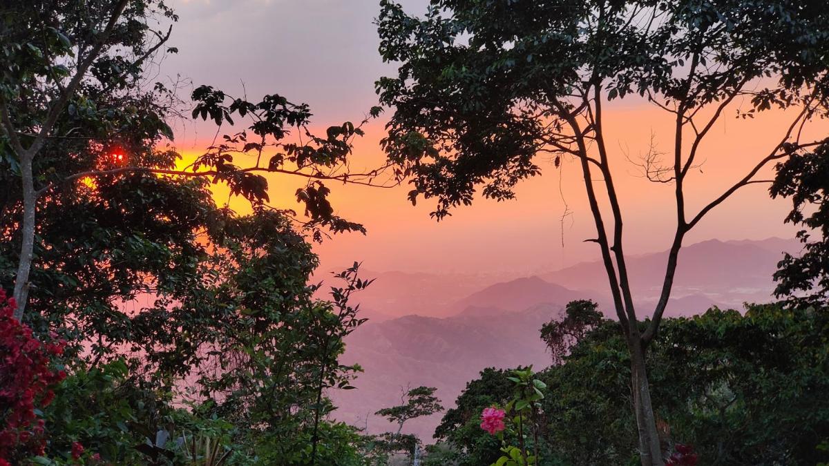 Minca Sintropia - Sustainable Lodge & Organic Coffee Finca - Housity