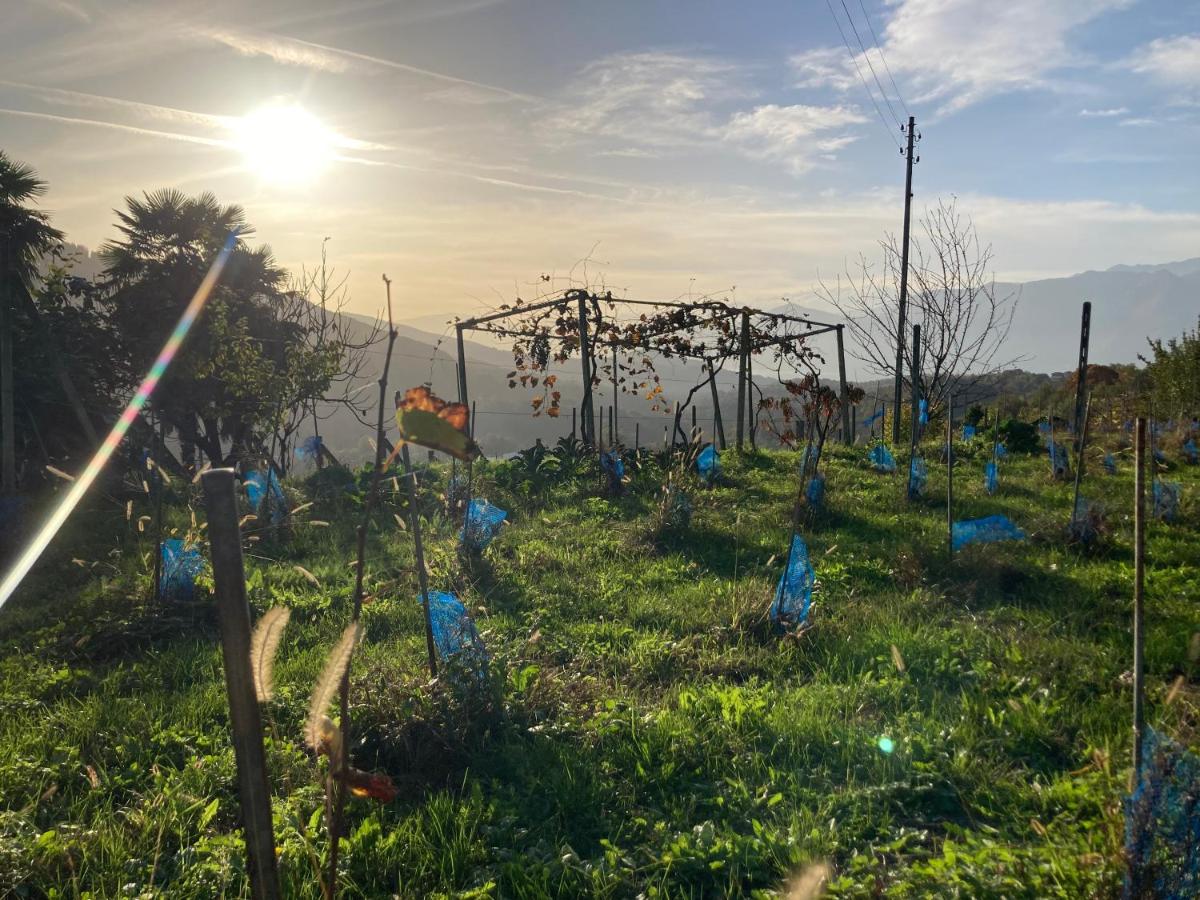 Appartamento di vacanza tra i vigneti - Housity