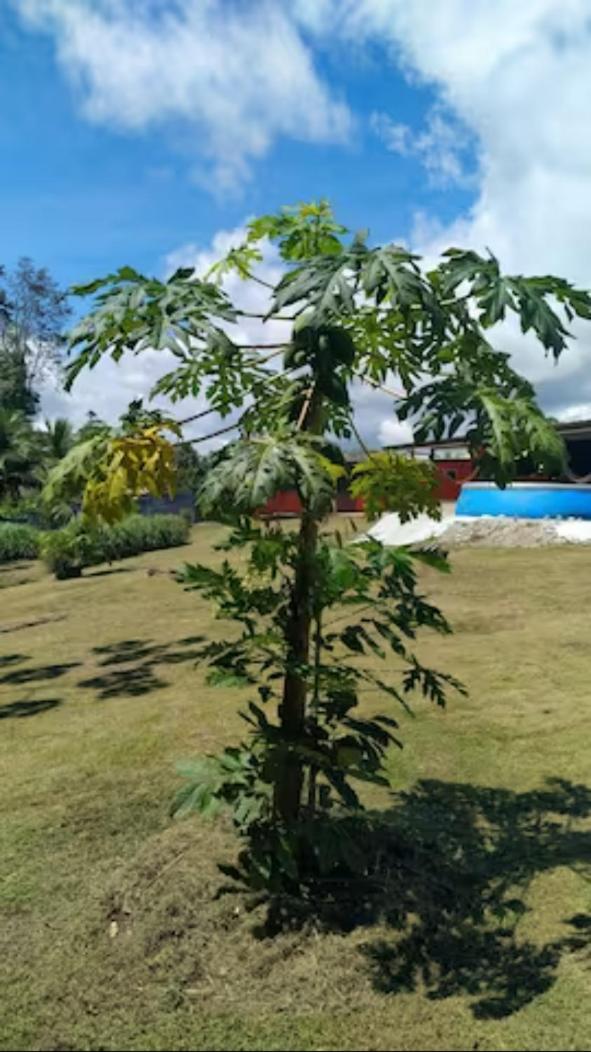 Espaces Zens&Stimulants grand confort 3ch 3sdb Espaces Jardin Cuisines Sport & Baignade - Housity