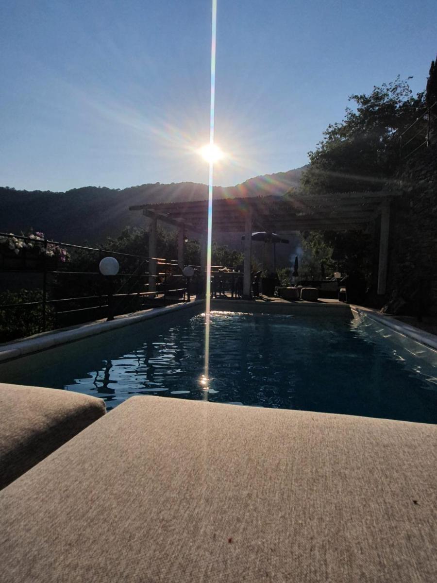 Il girasole - Housity