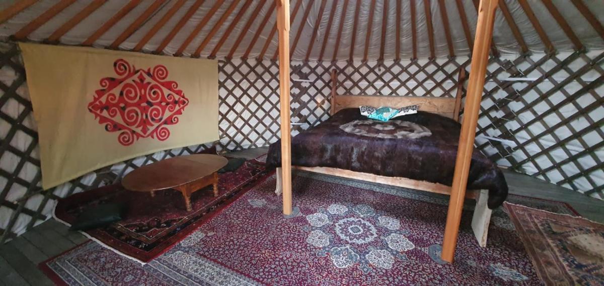 Vittfarnas Hird vikingaby - Housity