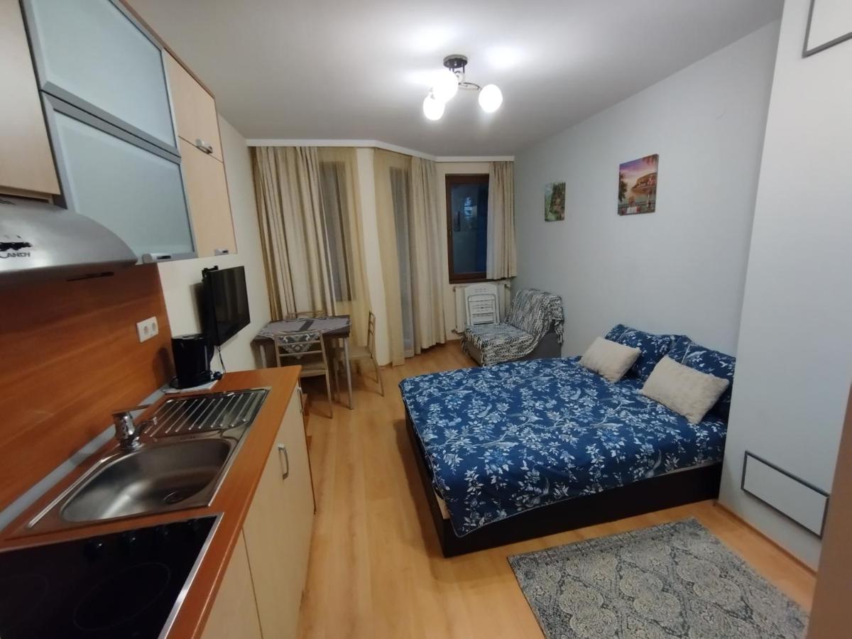 Borovets Villa Park studio - Housity