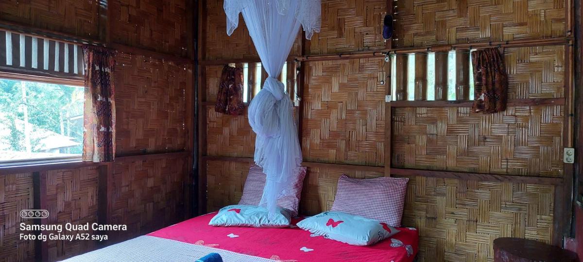 Sumatra Jungle Trek In & Orangutan Trips - Housity