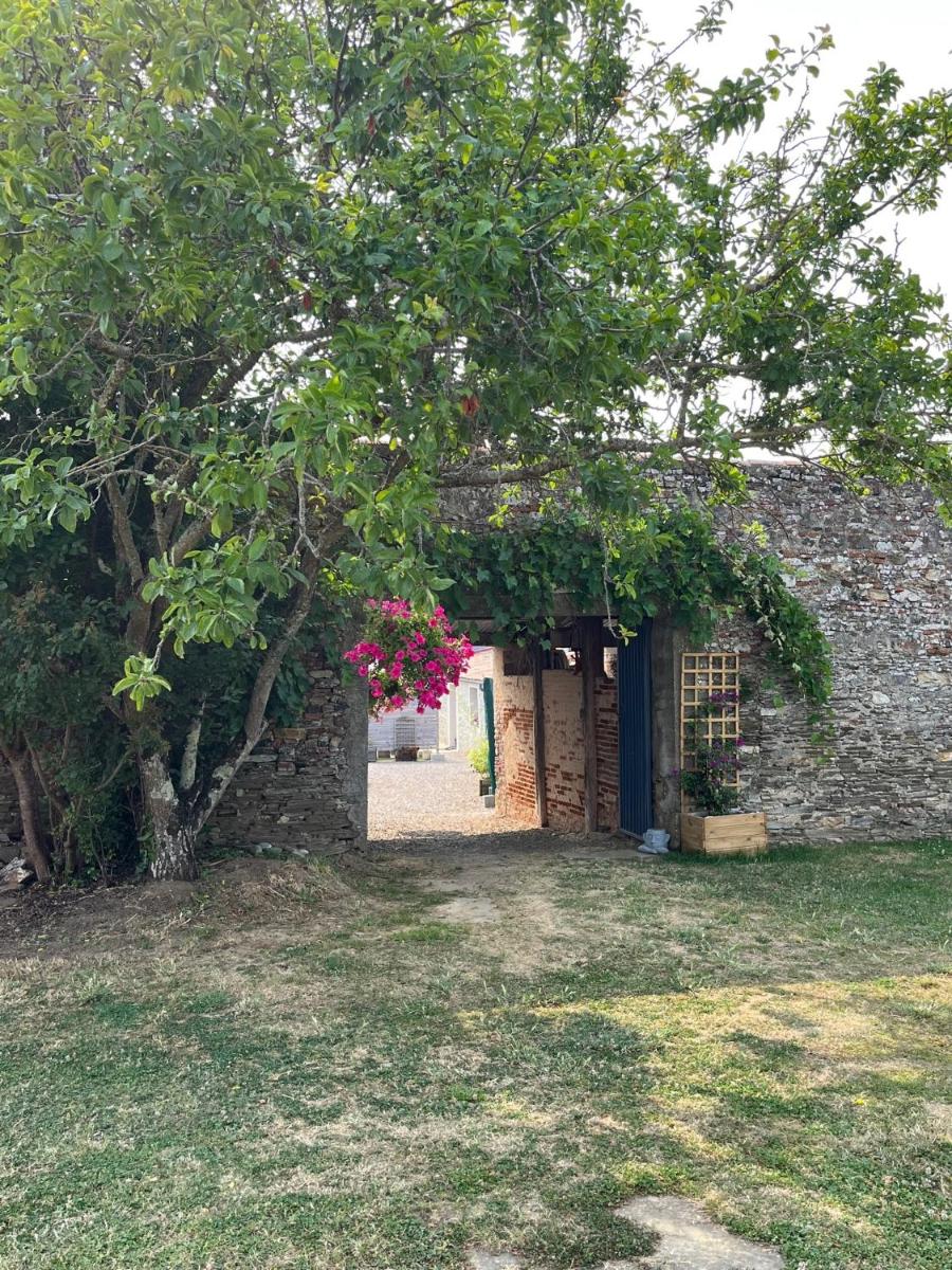 Jardin de l'établissement Résidence Les Océanes