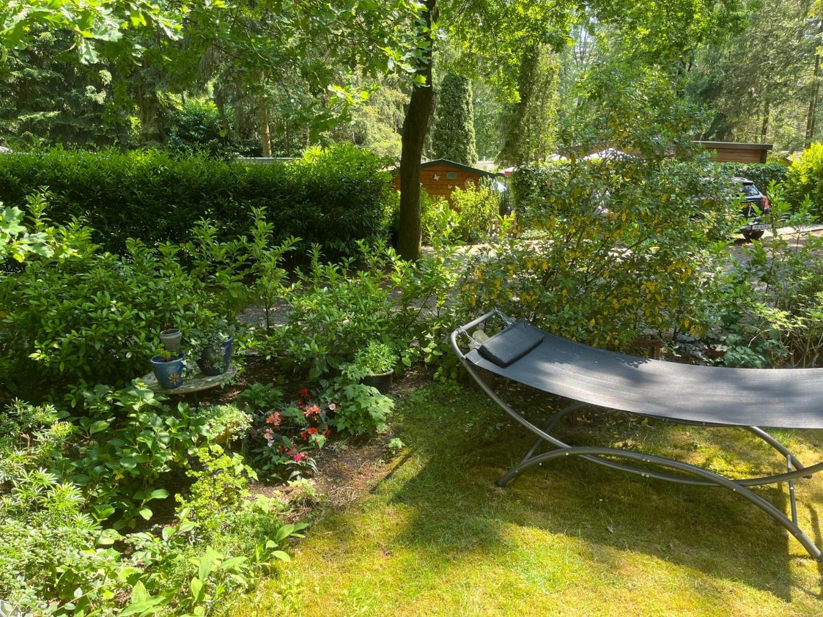 Sfeervol vakantiehuisje in bosrijke omgeving - Housity