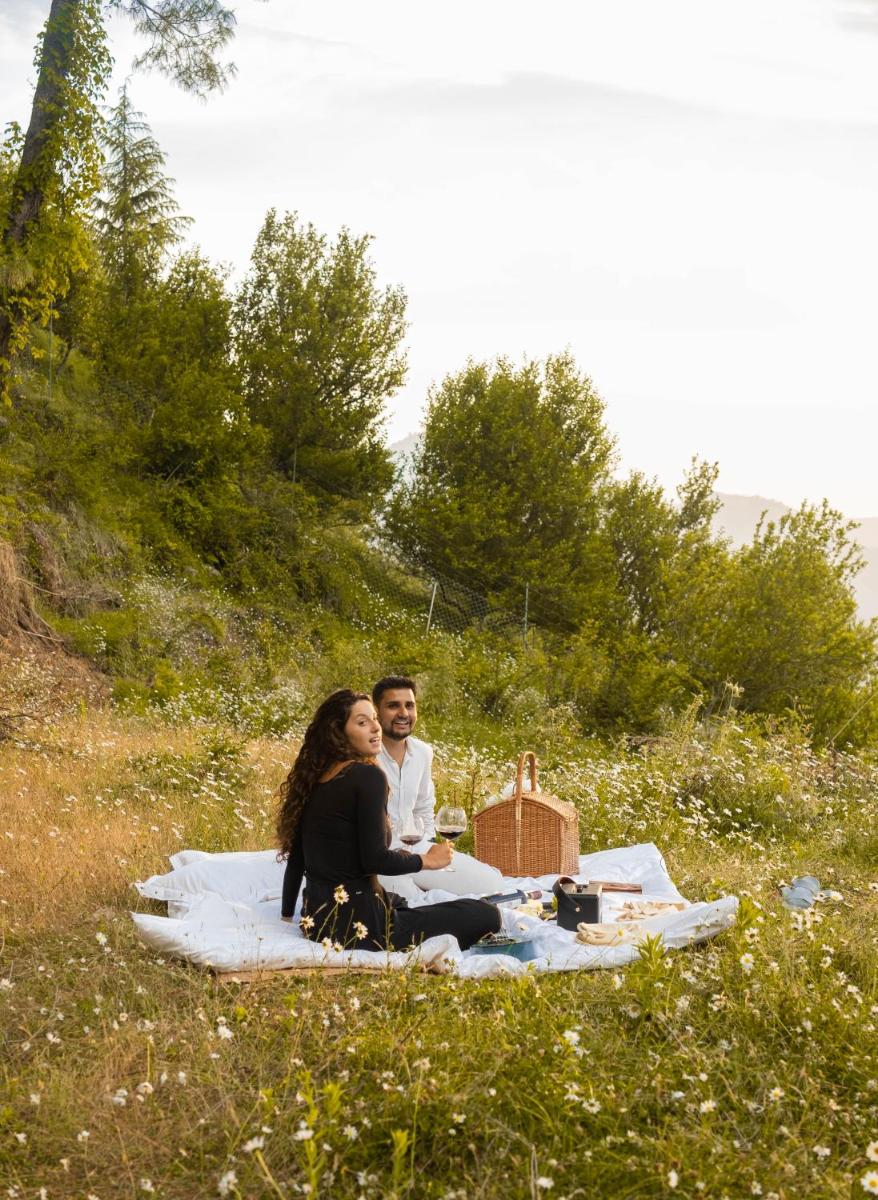 Minimalist : An Eco Farmstay - Housity