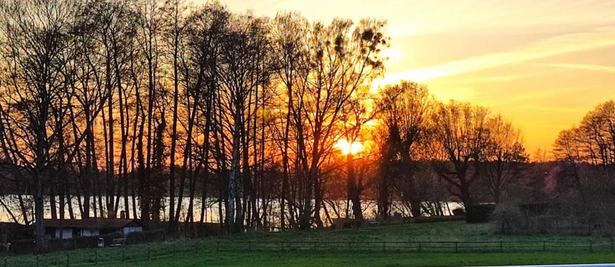 Hotel und Restaurant zum bunten Hirsch - Housity