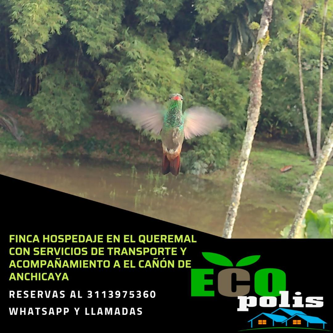 El Queremal ecopolis - Housity