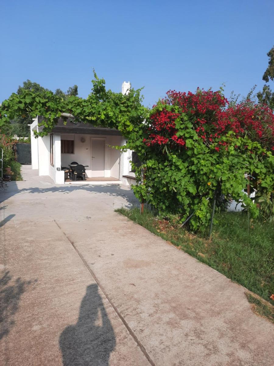 Appartamento esinai 2 - Housity