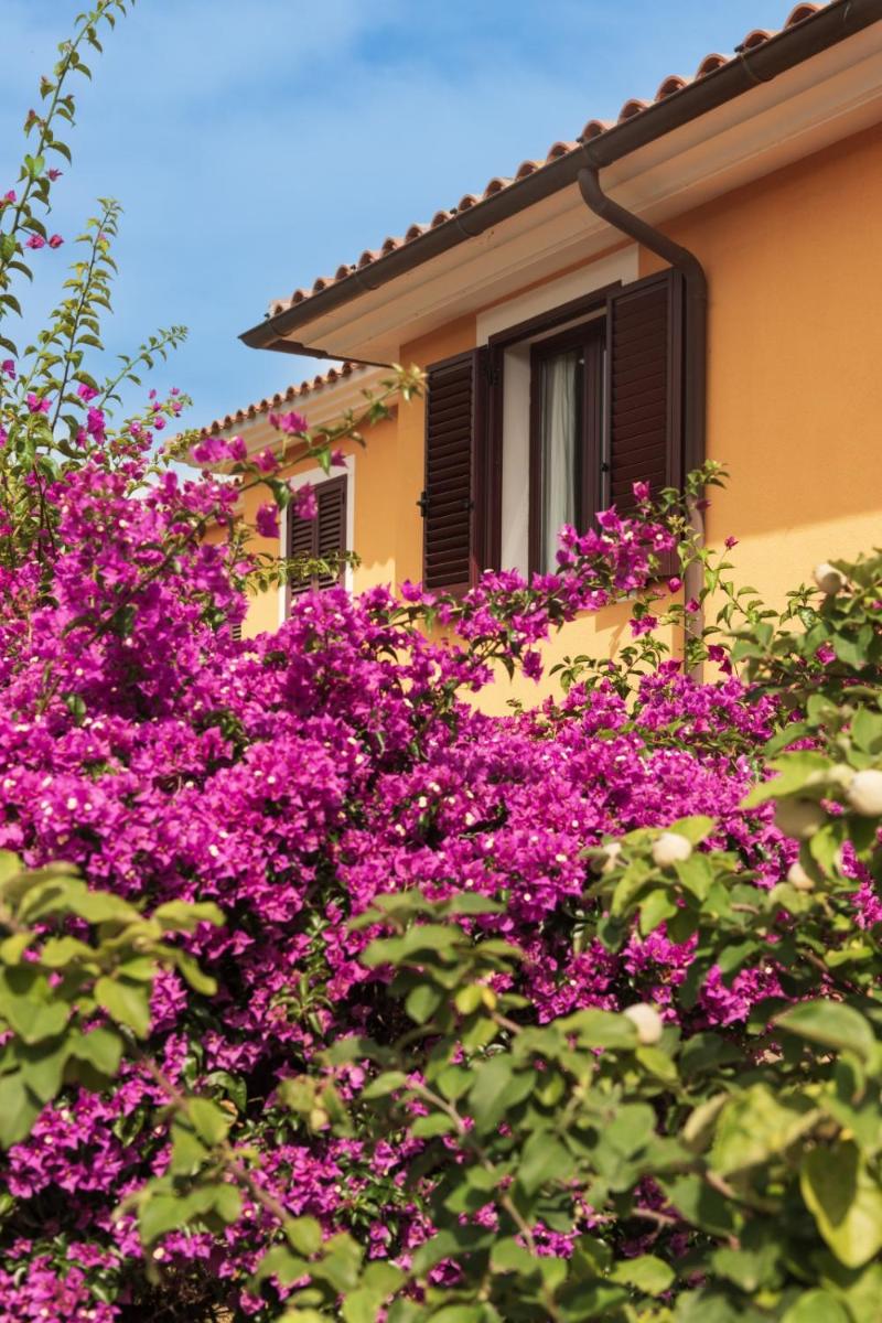 Residence Agrifoglio - Housity