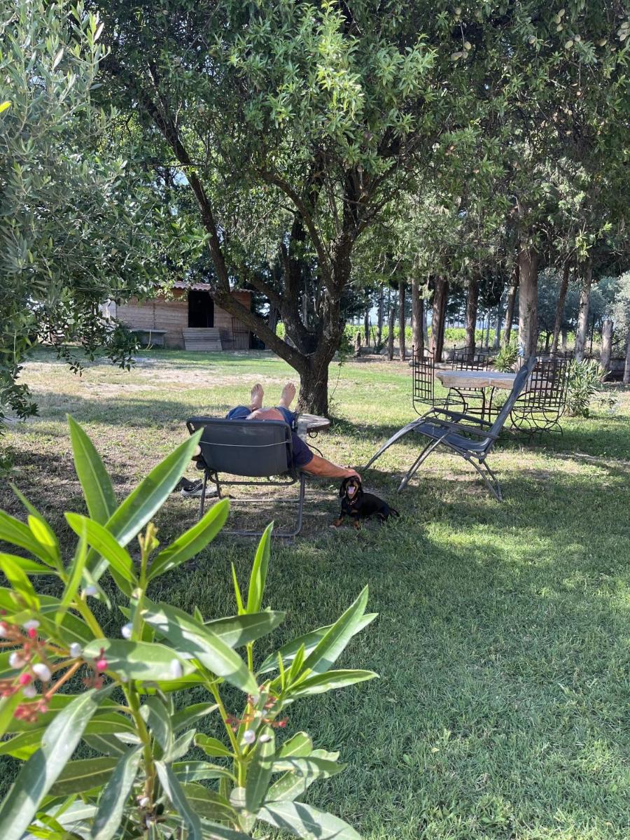 Gîtes Violettes et Amandier - Housity