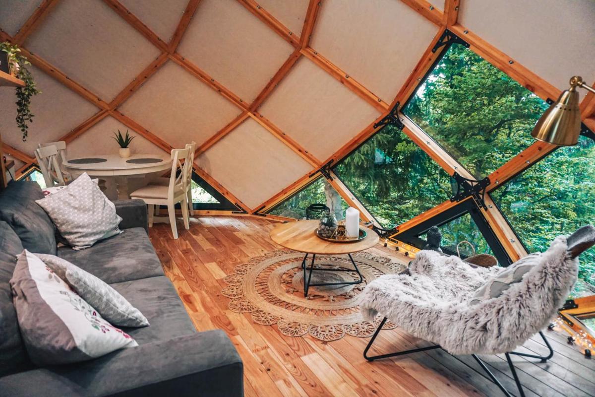 Armadillo Houses - Housity