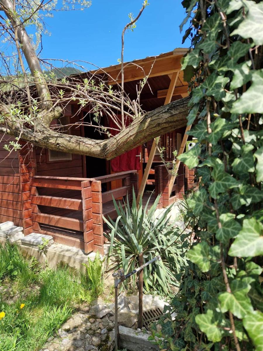 Casa Jan B. - Housity