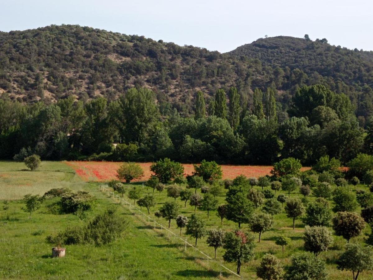 Studio Appart Verdon - Housity