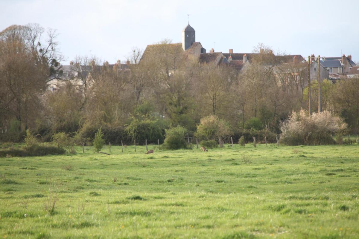 Fleurs de Brenne Gite - Housity