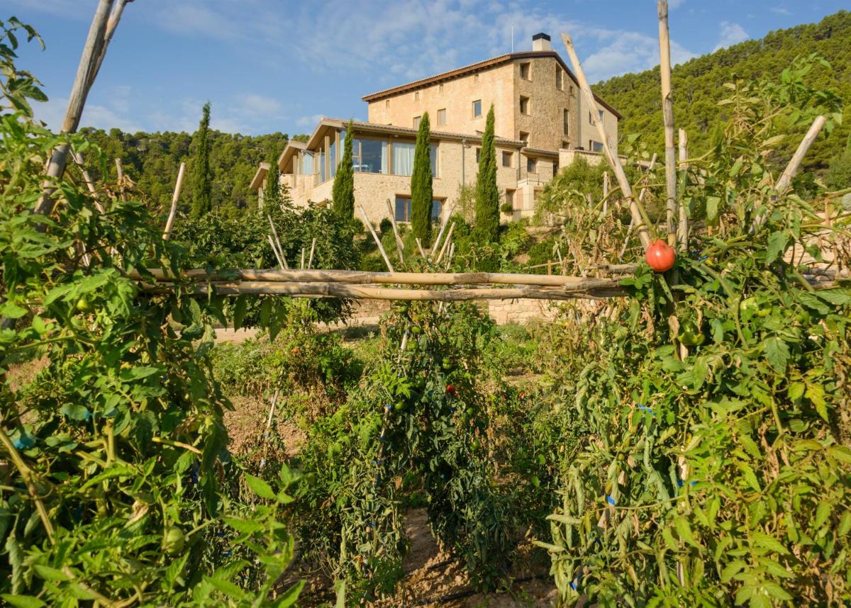 Paisaje cerca de este hotel