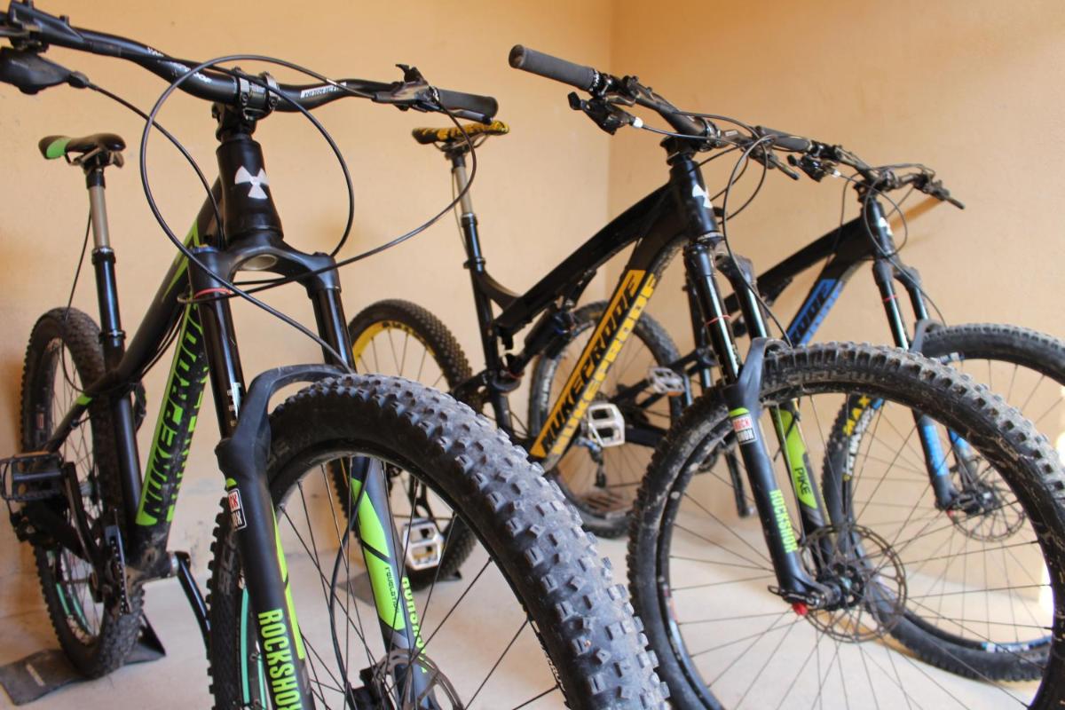 Montar en bicicleta en Torre del Marqués Hotel Spa & Winery - Small Luxury Hotels o alrededores