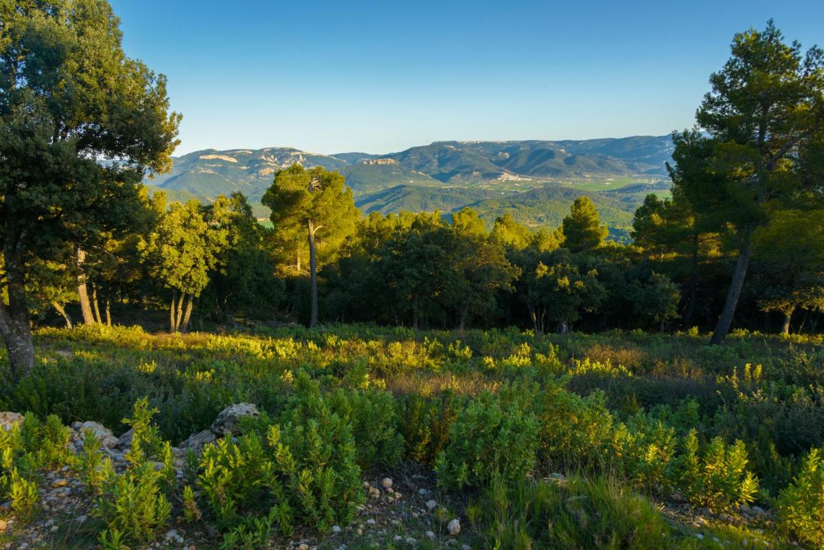 Paisaje cerca de este hotel